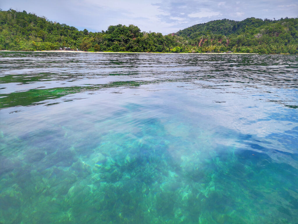 St Borneo Gaya Island Corals Credit Josephine Julian